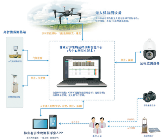 林业有害生物防治解决方案